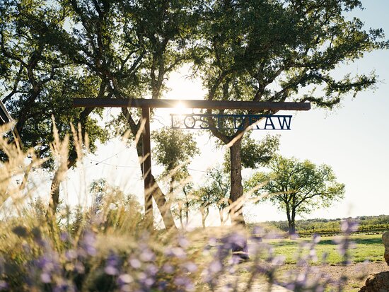 Lost Draw vineyard entrance with golden hour light