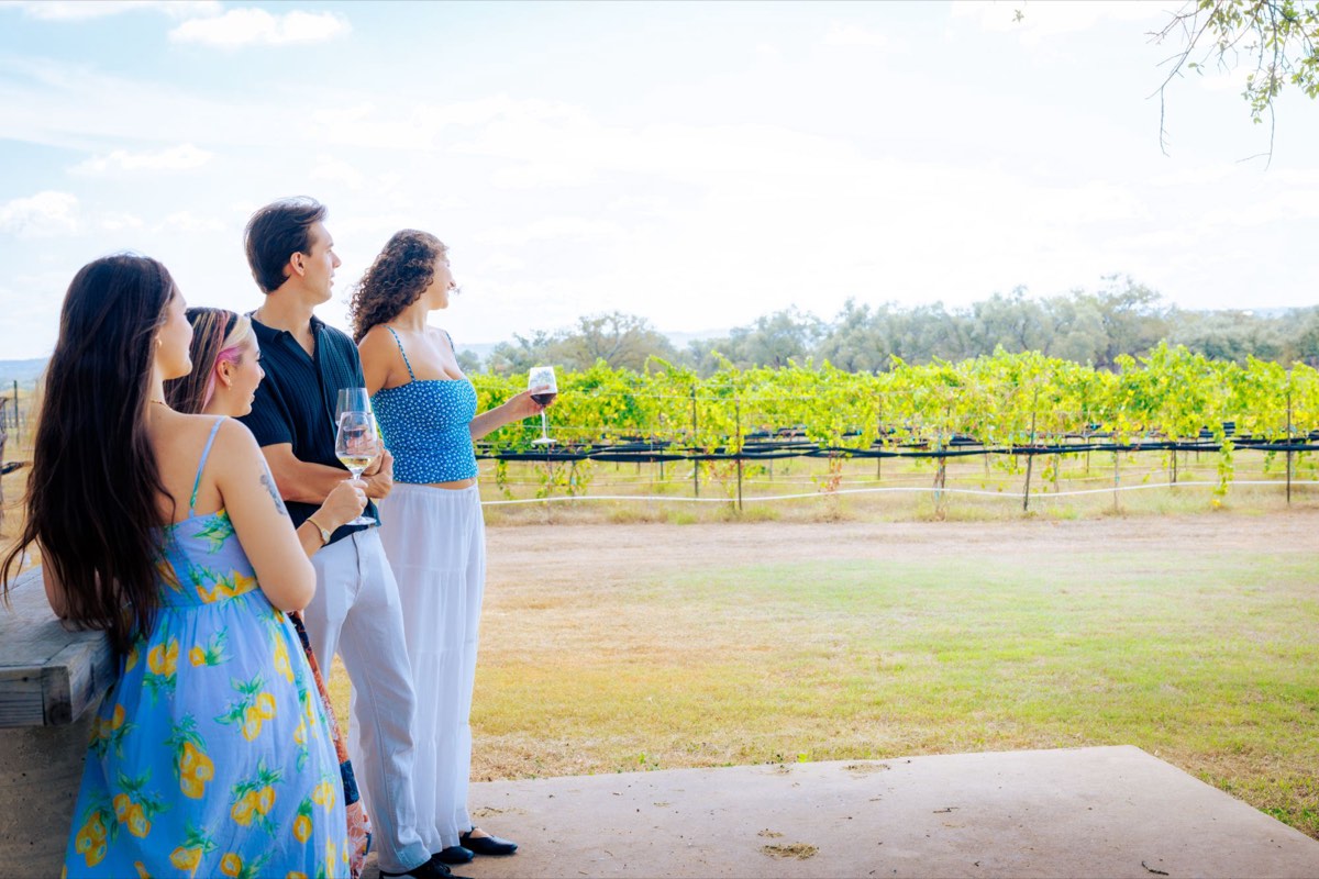 Friends holding wine glasses and looking out over vineyard rows